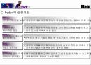 항공 택배업체 패덱스사의 물류 관리 25페이지