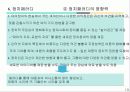 인터넷 패러디 문화 13페이지