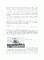 한국경찰의 역사 21페이지