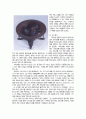 한국의 천문학 8페이지