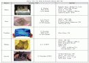 Flexible Display 10페이지