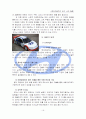 현대자동차의 인도 진출 전략 19페이지