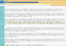 인라인 스케이트 2페이지
