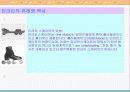 인라인 스케이트 4페이지