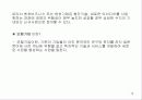 벤처기업의 정의와 창업환경 분석, 국가별 벤처기업의 역할과 기능 12페이지