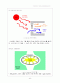 초등학교 Programming Project 63페이지