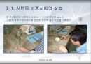 시멘트 비중시험 8페이지