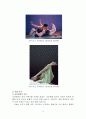 낭만발레와 현대발레의 비교 -의상을 중심으로 14페이지