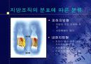 비만에 대한 영양교육 8페이지