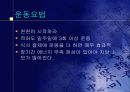 비만에 대한 영양교육 24페이지