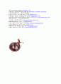 실내 디자인에대하여 8페이지