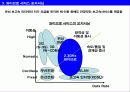 휴대 인터넷(와이브로:WiZBro)의 사업 방향성 분석 4페이지