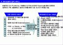 휴대 인터넷(와이브로:WiZBro)의 사업 방향성 분석 10페이지