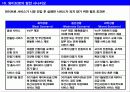 휴대 인터넷(와이브로:WiZBro)의 사업 방향성 분석 11페이지