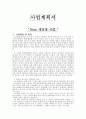 사업계획서 2페이지