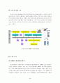 위성 DMB 사업자 선정과 서비스 방향 8페이지