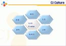 CJ의 조직구조 16페이지