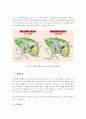 카지노 리조트 기업의 현황과 문제점 분석 17페이지