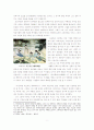 '조선인'신윤복을 통해서본 조선사회와 여성 2페이지