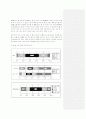 ★북미대륙과 유럽에서의 Internet 사용현황★ 6페이지