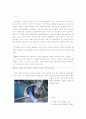 한국의 댐에 대한 고찰 2페이지