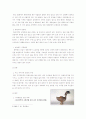 한국의 댐에 대한 고찰 7페이지