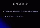 뇌 동  맥 류(Cerebral Aneurysm) 8페이지