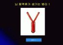 뇌 동  맥 류(Cerebral Aneurysm) 33페이지