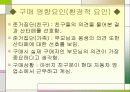 구매 의사결정 과정과 그 영향 요인 11페이지