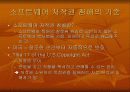 국제적 소프트웨어 저작권 침해의 요인과 대응방안 3페이지
