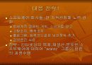 국제적 소프트웨어 저작권 침해의 요인과 대응방안 11페이지