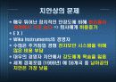 남아공의 FDI 유치 18페이지