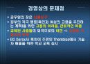 남아공의 FDI 유치 20페이지