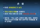 남아공의 FDI 유치 29페이지