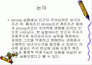 간섭의 효과가 주의력에 미치는 영향 5페이지