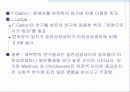 범죄 및 비행의 생물학적 원인론 10페이지