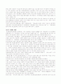 인터넷상에서의 표현의 자유와 검열 3페이지