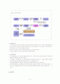 장기이식 문제의 쟁점과 「장기등이식에관한법률」고찰 12페이지