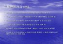 Dell의 헤징전략 3페이지