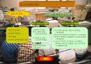 매스미디어가 청소년 비행에 미치는 영향 3페이지