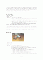 [사범/법학] ‘전통놀이‘를 통한 유아놀이 지도 7페이지