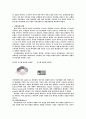 휘센의 마케팅 전략 분석 및 수립 9페이지