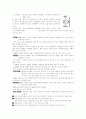 전지와 전구 6페이지