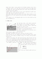 전지와 전구 11페이지