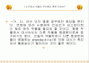 노인 약물에 대해-증례토의 2페이지