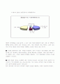 경마에 관한 보고서 16페이지
