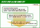 유전자 변형 식품 (GMO)의 정의와 실태, 그리고 향후 대안 4페이지