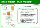 유전자 변형 식품 (GMO)의 정의와 실태, 그리고 향후 대안 7페이지