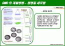 유전자 변형 식품 (GMO)의 정의와 실태, 그리고 향후 대안 8페이지