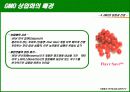 유전자 변형 식품 (GMO)의 정의와 실태, 그리고 향후 대안 24페이지